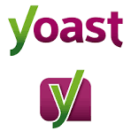 Digital marketing expert in Rangpur